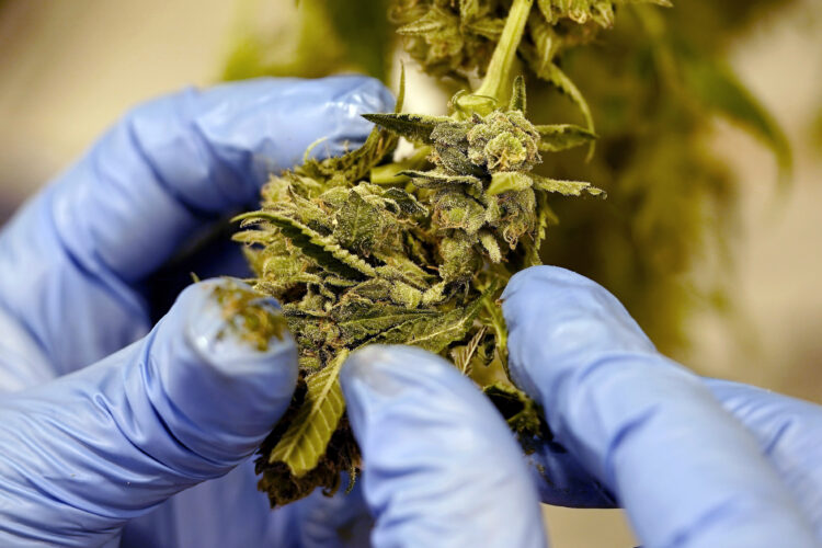 West Virginia Has Collected $34 Million From Its Medical Cannabis Program, But Hasn’t Spent a Penny of It